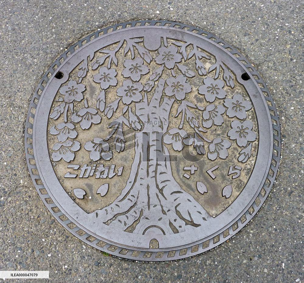 Manhole cover with cherry tree image in Koganei