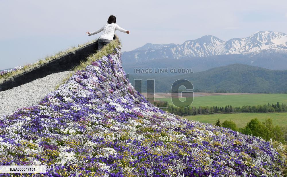 Hokkaido Garden Show 2015 Daisetsu