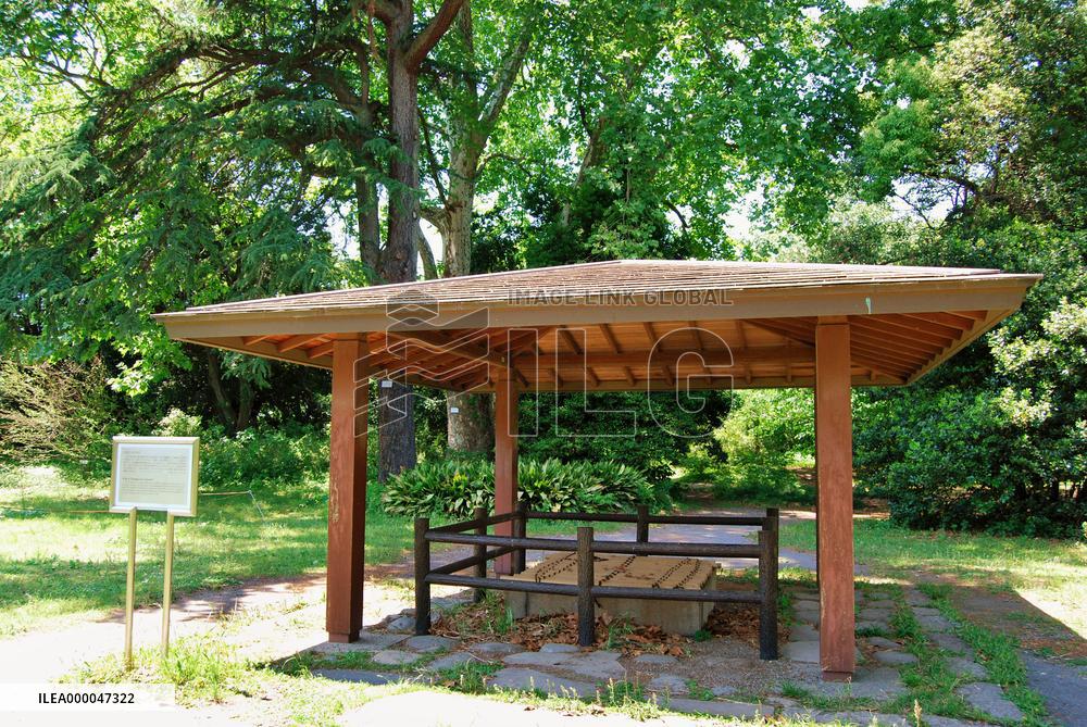 Koishikawa Botanical Garden in Tokyo