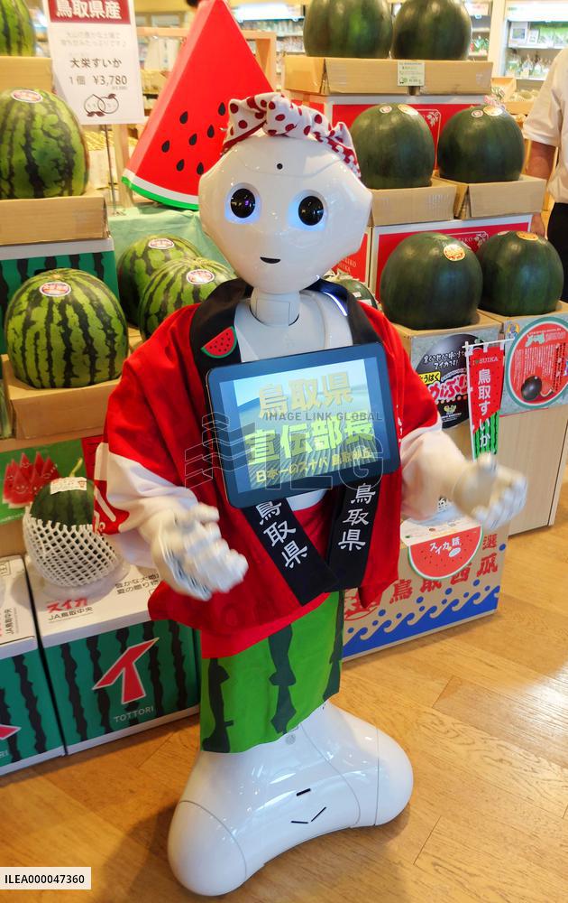 Pepper the robot dispatched to work for Japanese local gov't