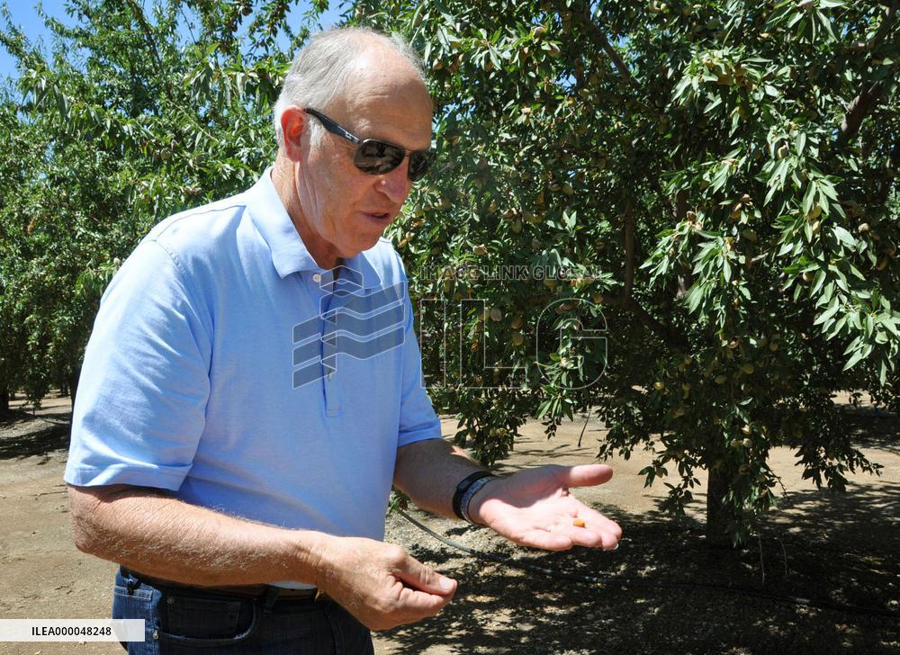Drought hits almond production in California