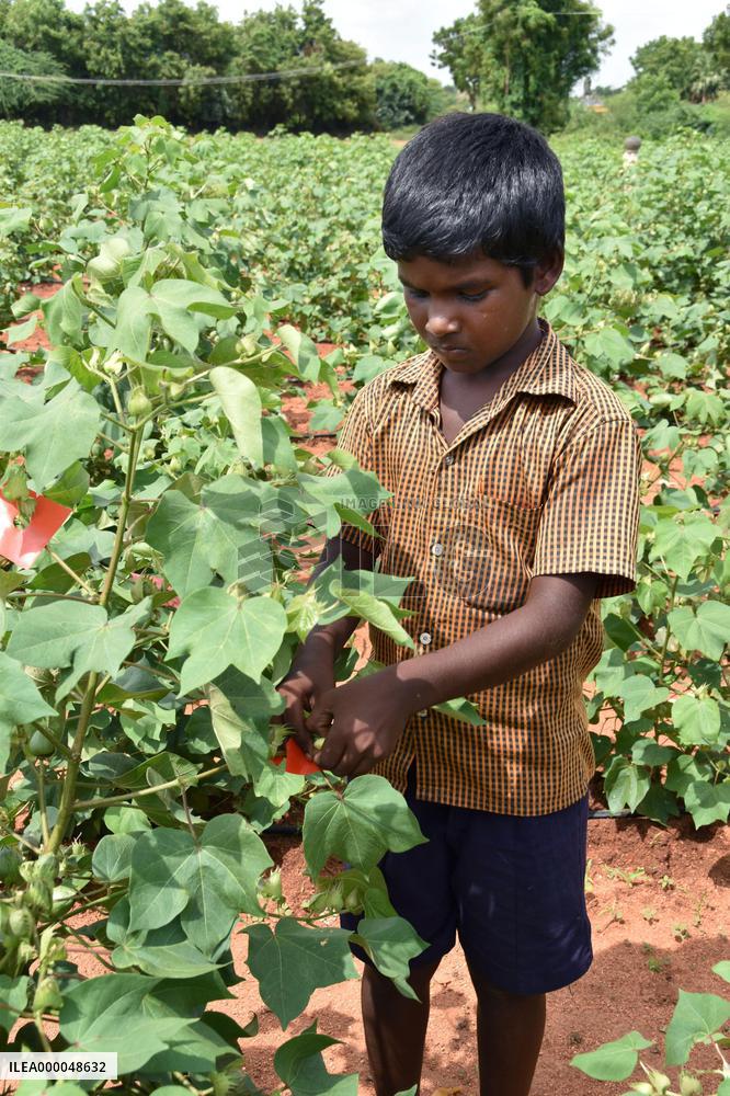 Some children deprived of ordinary lives in India