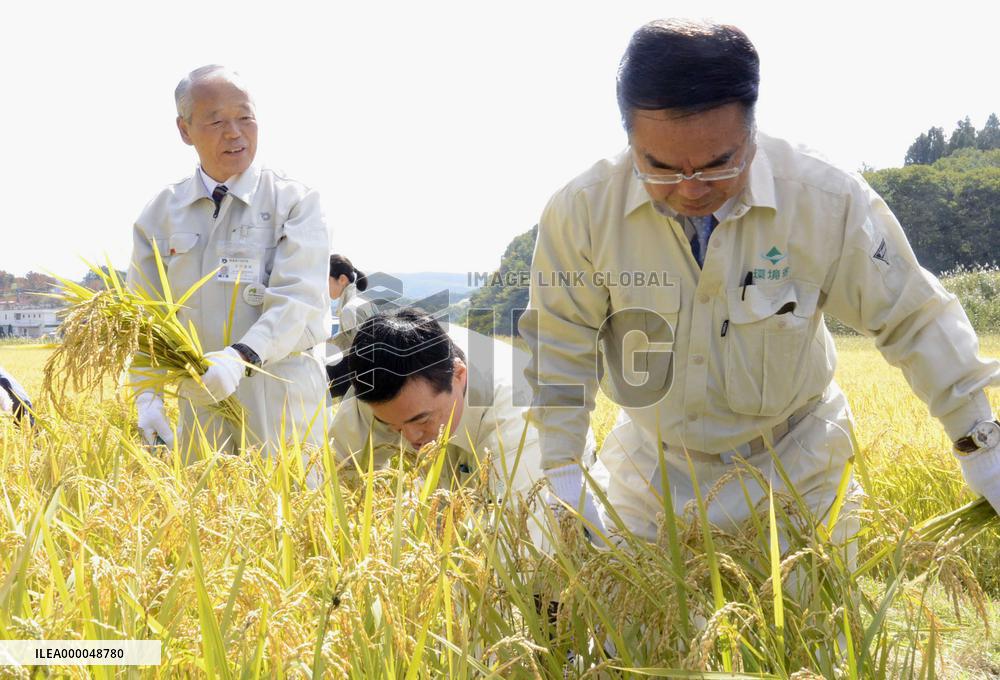Environment minister harvests rice with Fukushima town mayor