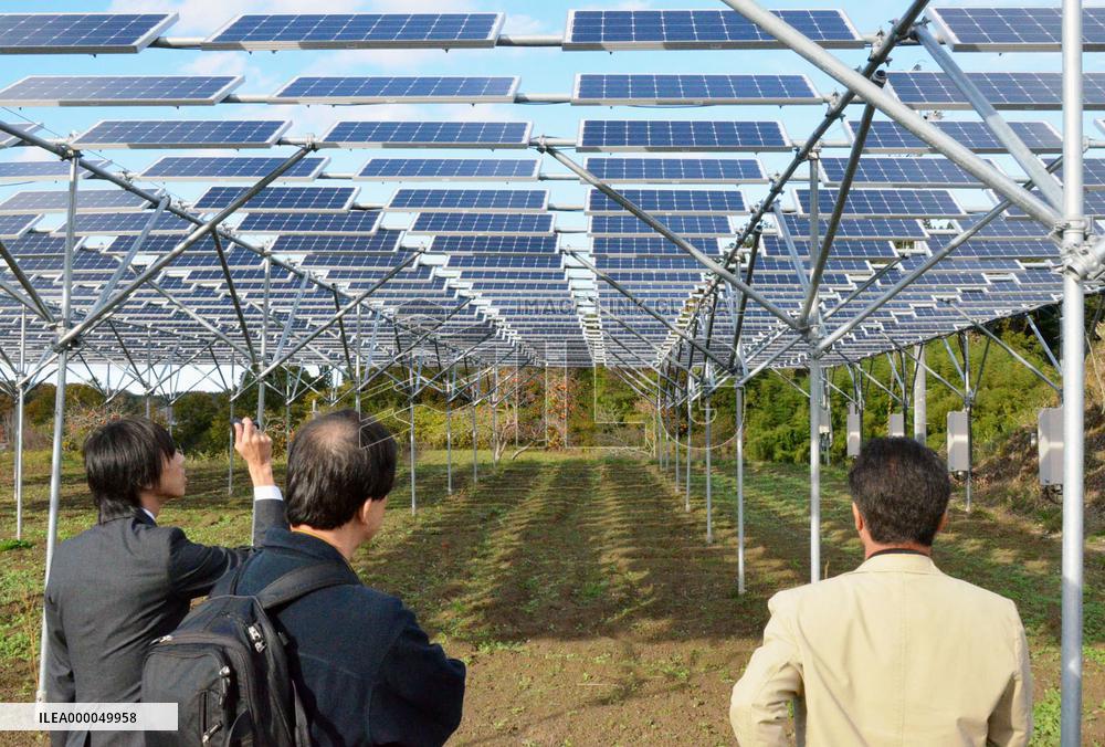 People visit "solar-sharing" farm in Fukushima town