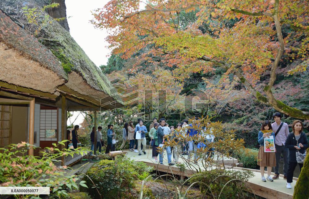 Garden opened to public for autumn leaves in southern Japan