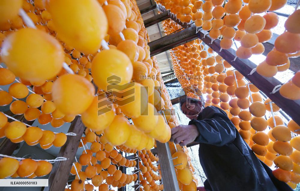 Fukushima farmer makes dried persimmons