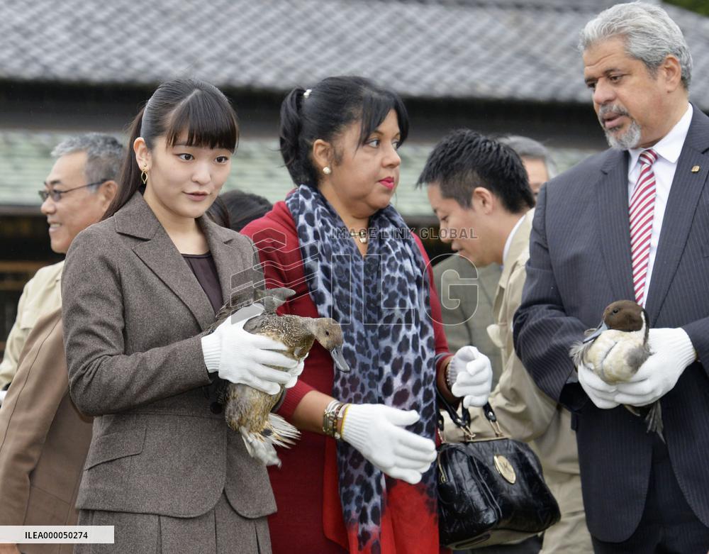 Princess Mako entertains foreign guests at duck preserve
