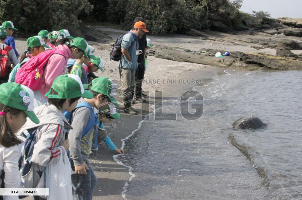 Shorelines attract hunters of sea treasure