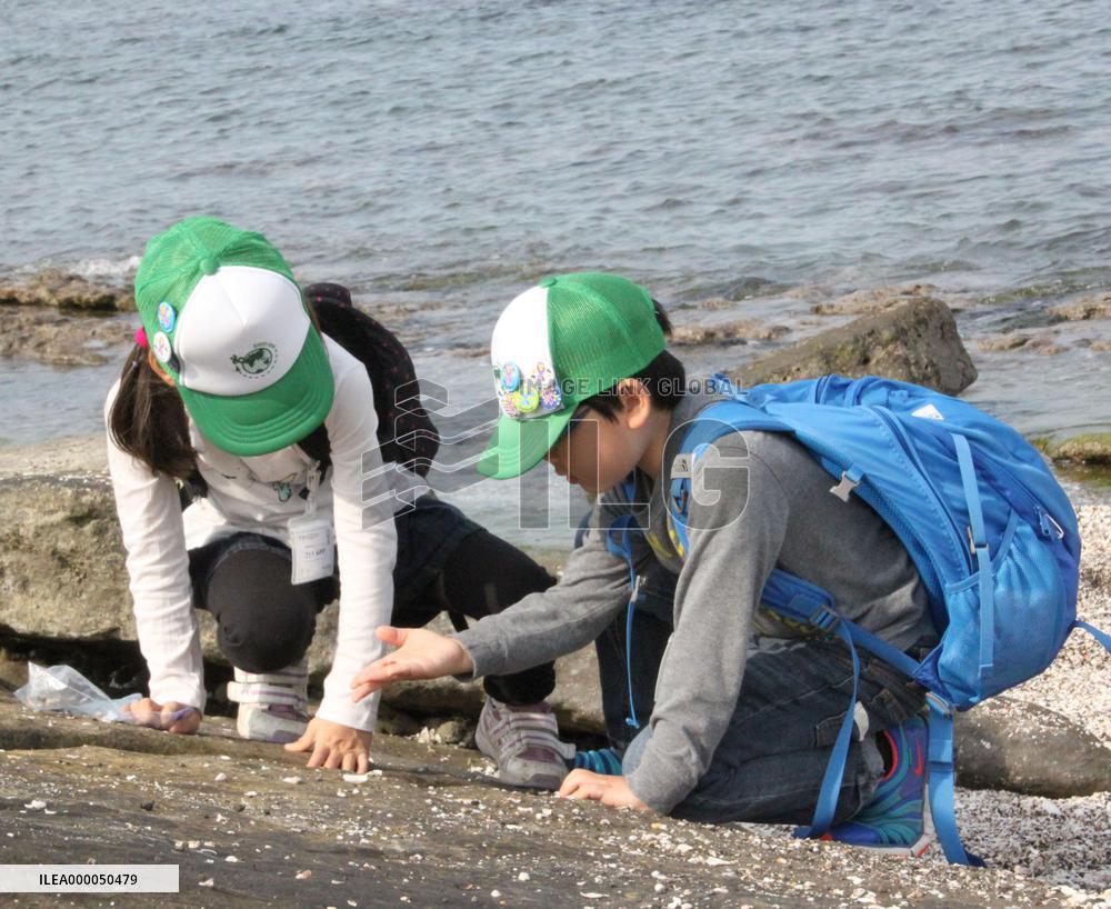 Shorelines attract hunters of sea treasure
