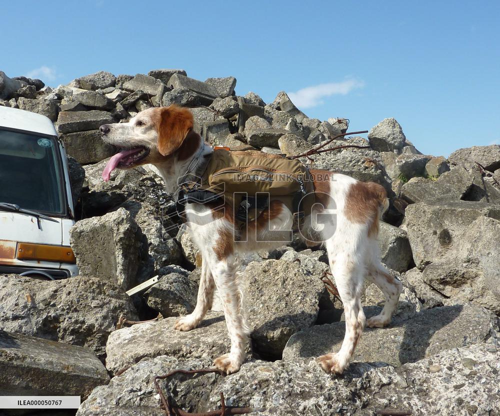 Robo-Dog technology looks to speed up rescue operations