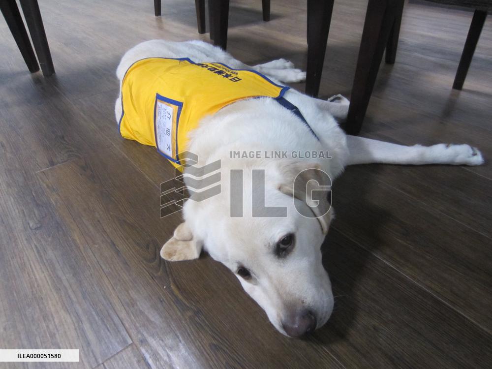 FEATURE: Service dog user hopes every dog has its day