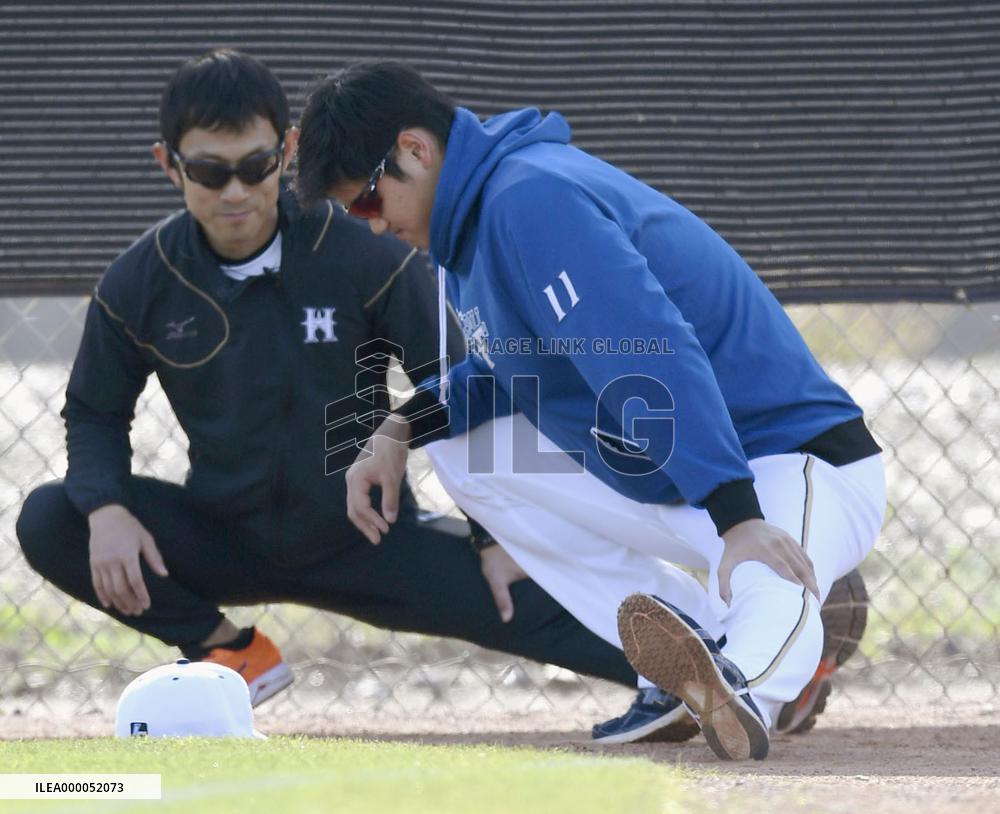 Otani at Fighters training camp in Arizona