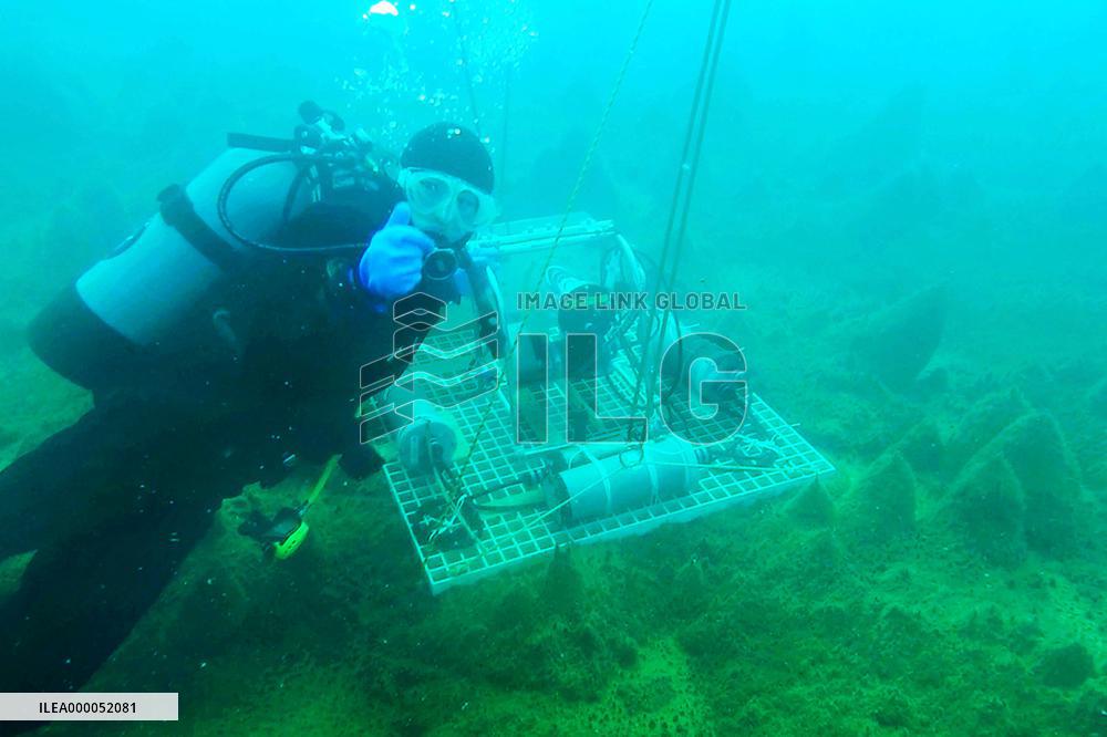 Japanese team surveys plants on Antarctica lake floor