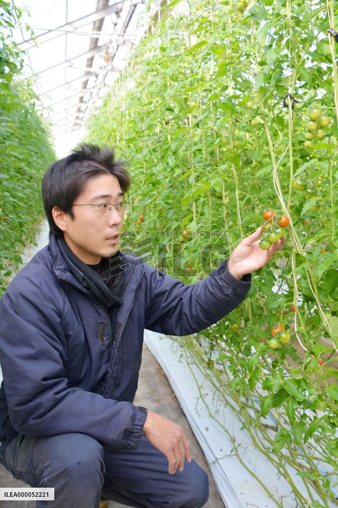 Smaller firms in Japan expanding roles in overseas assistance