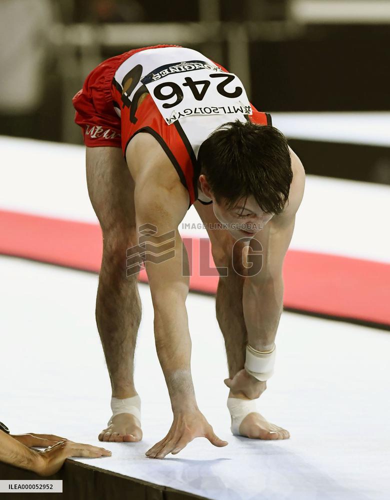 World gymnastics championships