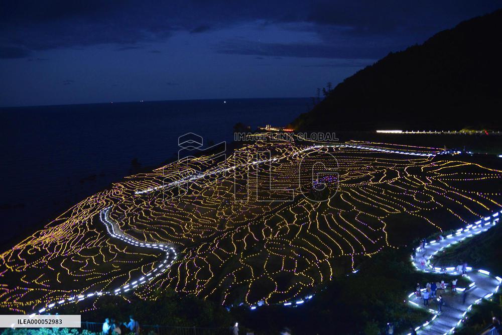 Rice terrace illumination event in Japan