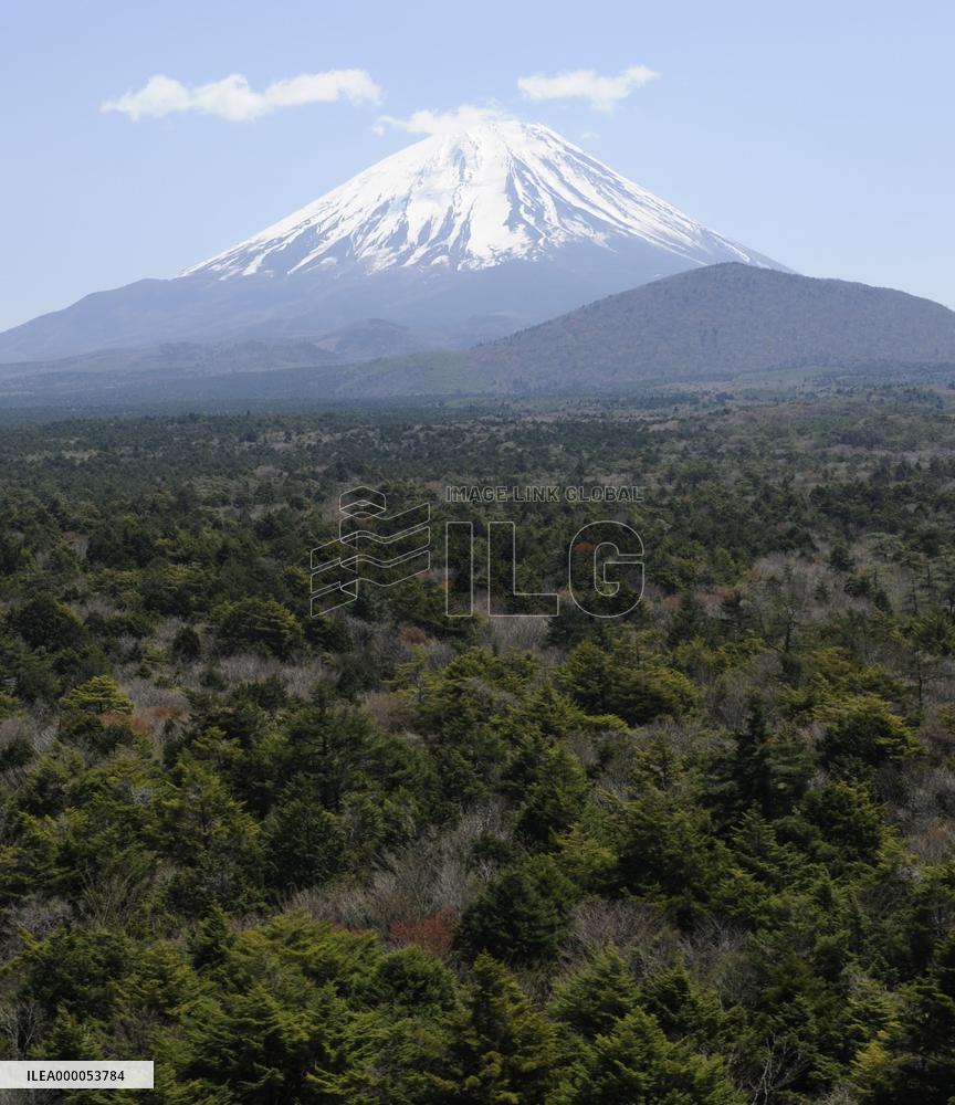 Mt. Fuji and forest