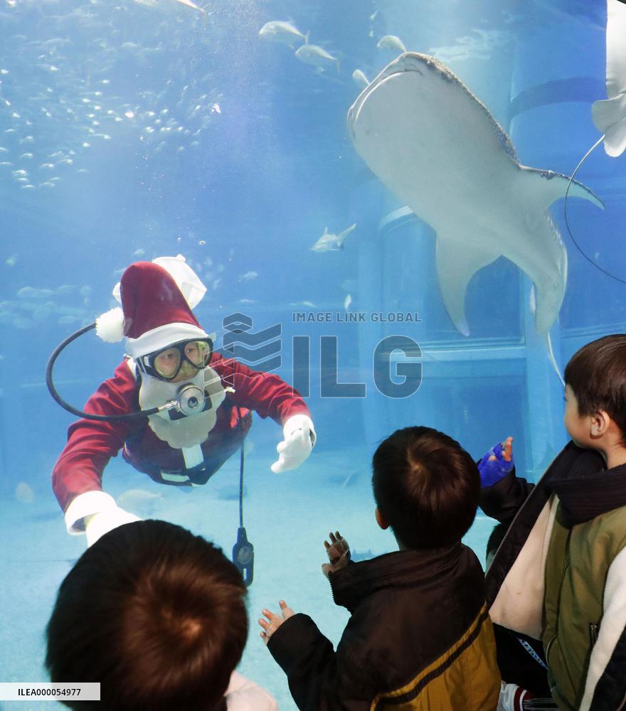 Santa Claus at Osaka aquarium