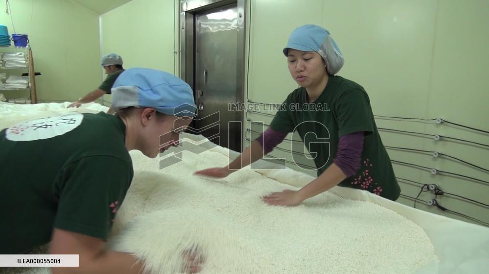 Foreign apprentices at traditional Japanese sake brewer