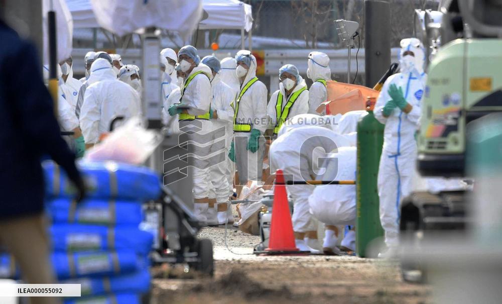 Hog cholera infection in central Japan