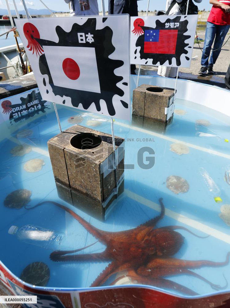 Octopuses "predicts" Japan rugby team's performance at World Cup
