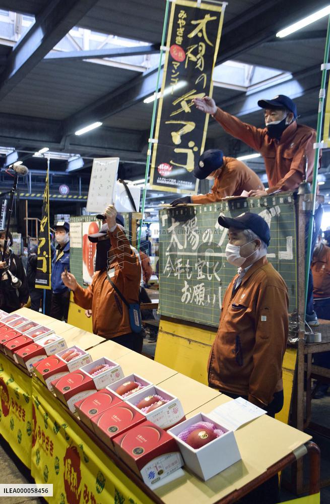 Mangoes from southwestern Japan