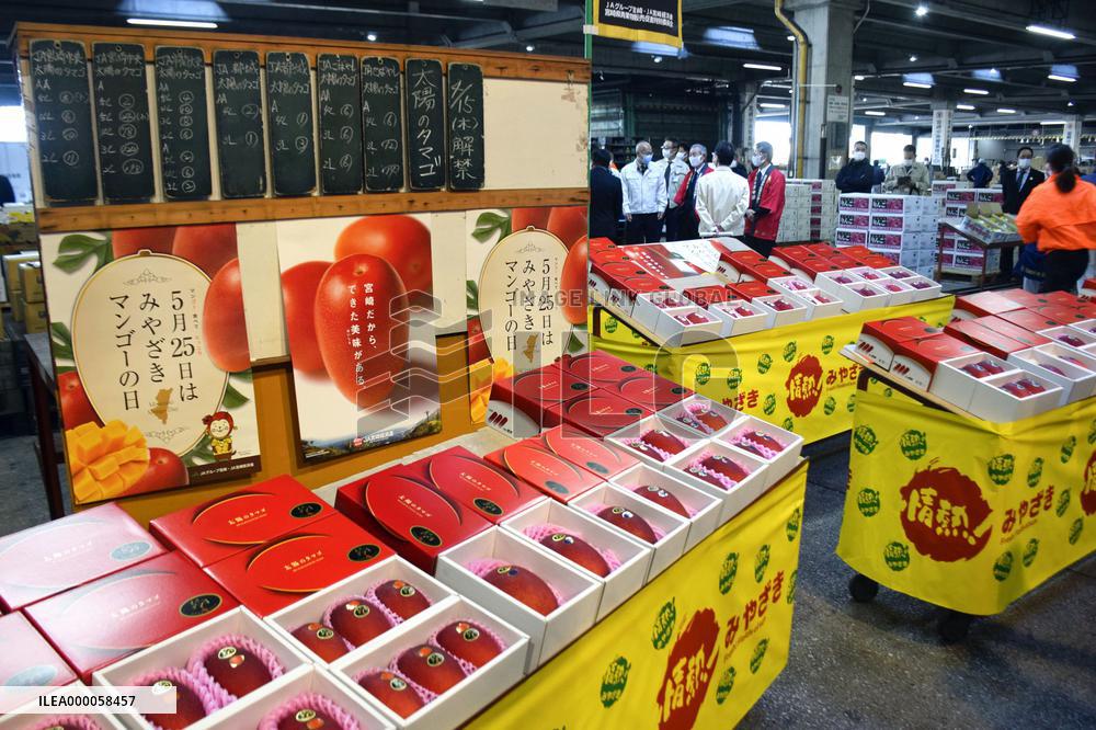 Mangoes from southwestern Japan