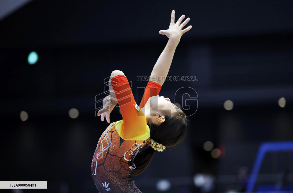 Gymnastics: national championships