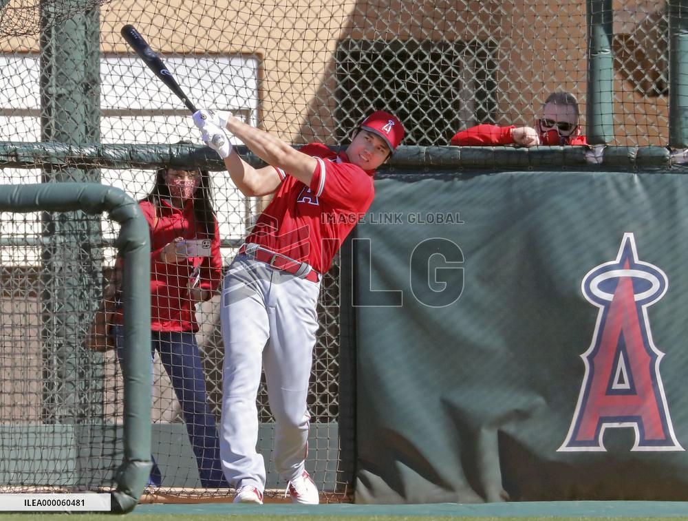 Baseball: Angels spring training