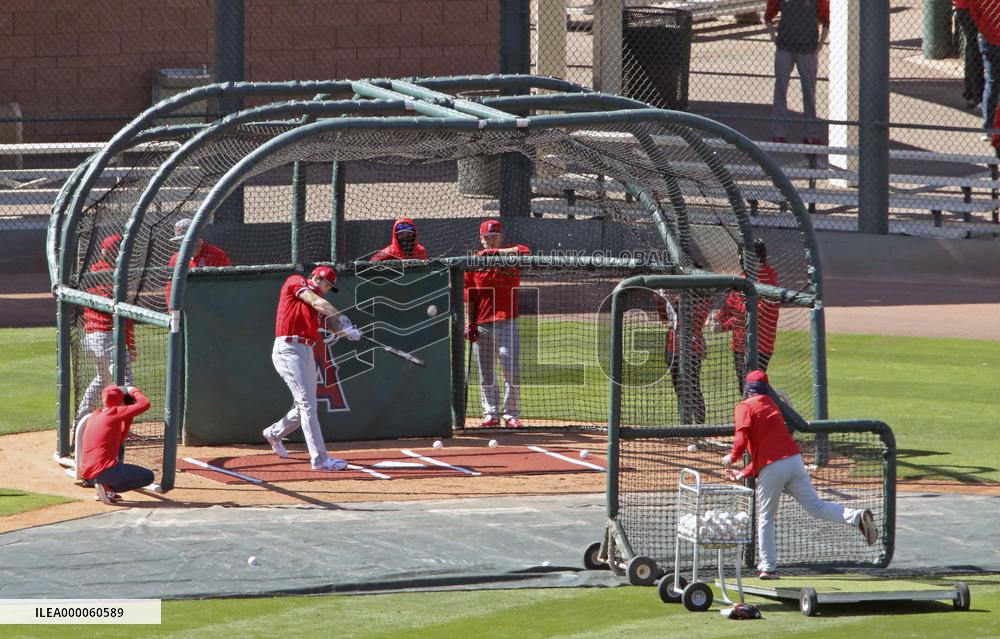 Baseball: Angels spring training