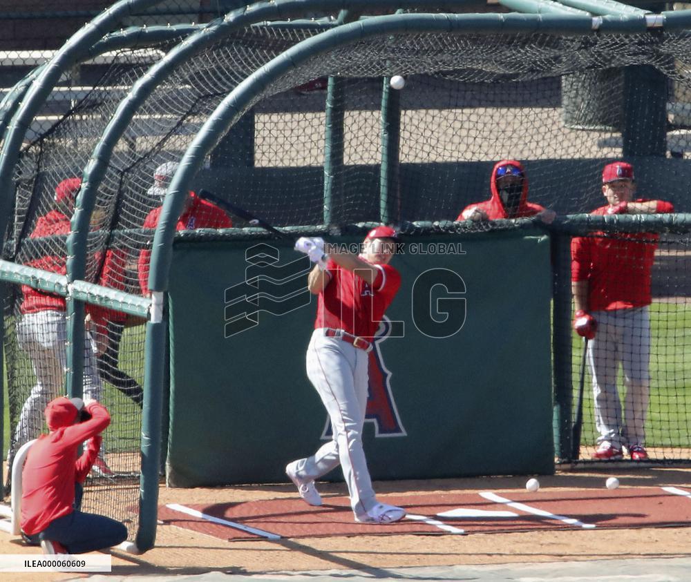 Baseball: Angels spring training