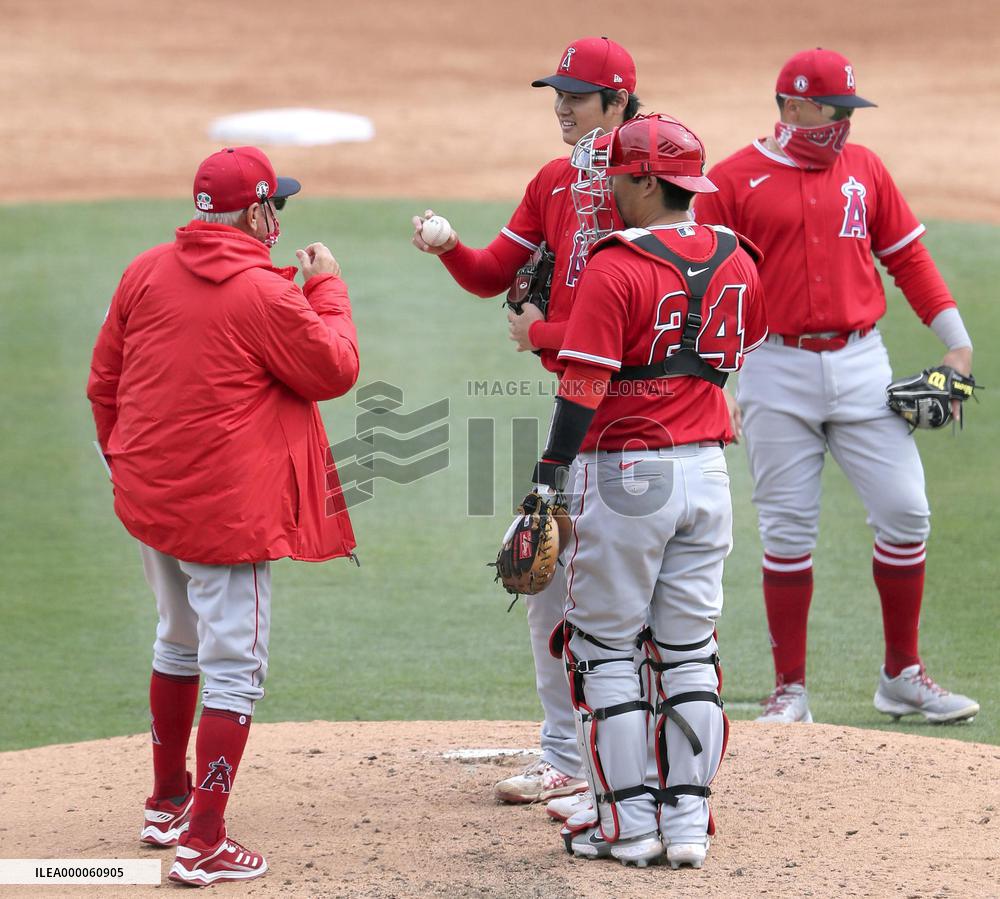 Baseball: MLB spring training