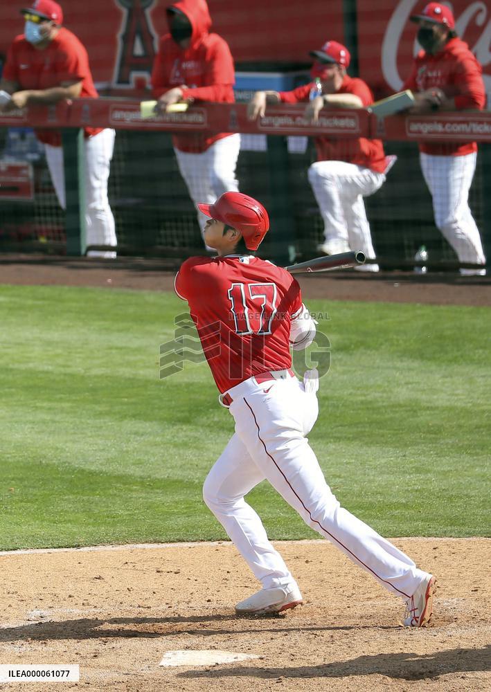 Baseball: MLB spring training