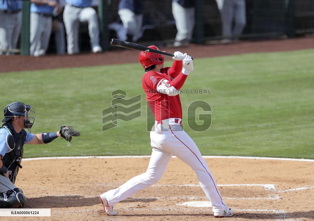 Baseball: MLB spring training