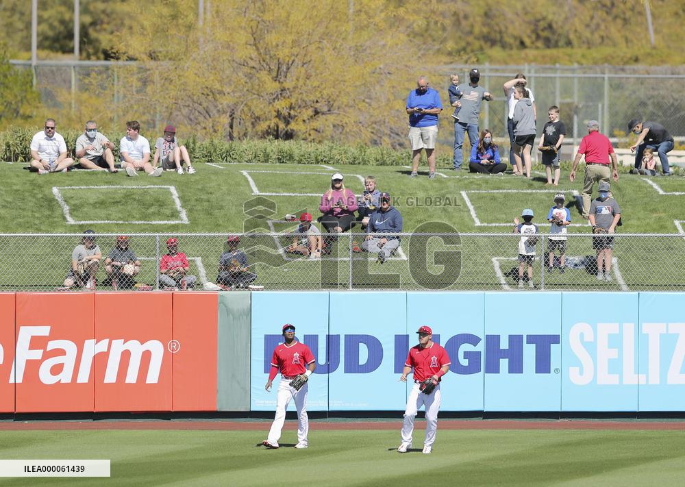 Baseball: MLB spring training