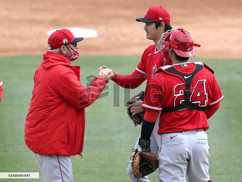 Baseball: MLB spring training