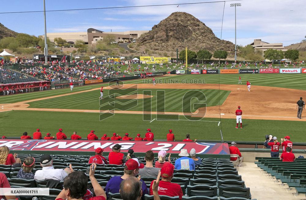 Baseball: MLB spring training