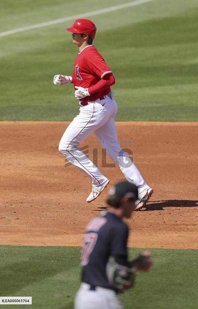 Baseball: MLB spring training