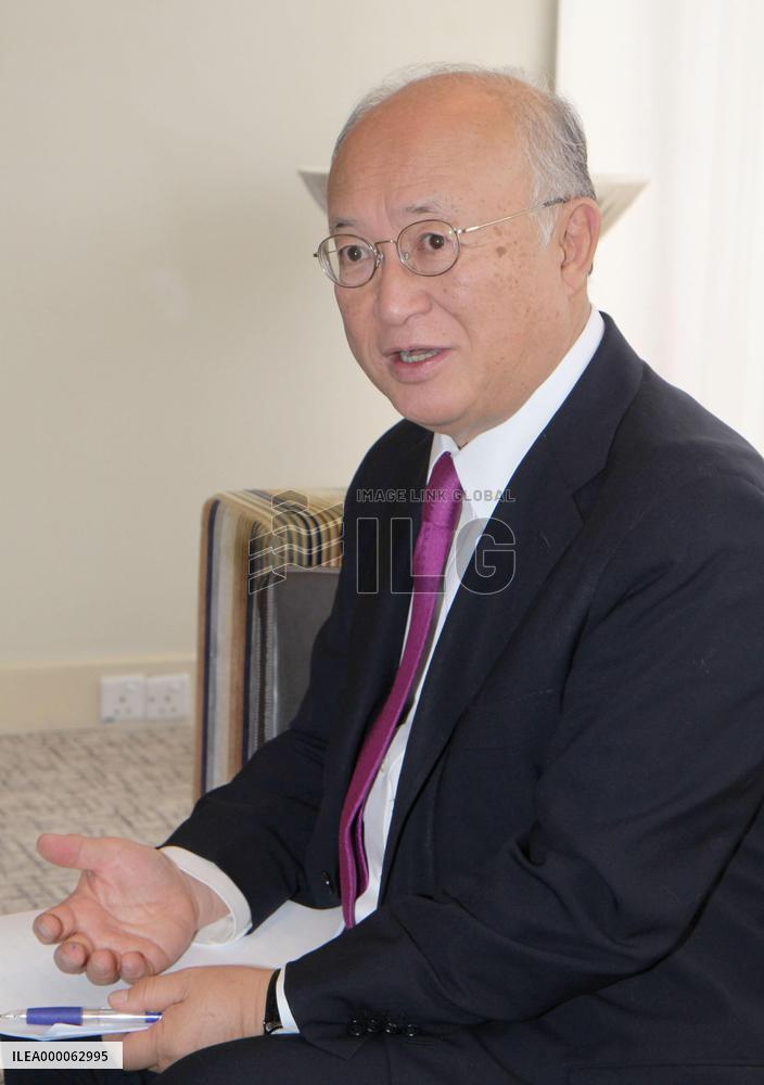 IAEA chief admits delay in probe into Iran's nuclear program