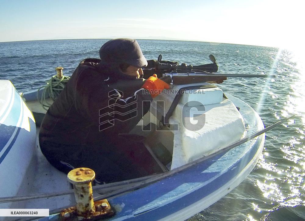 Hunter ready to shoot sea lion off Hokkaido, northern Japan