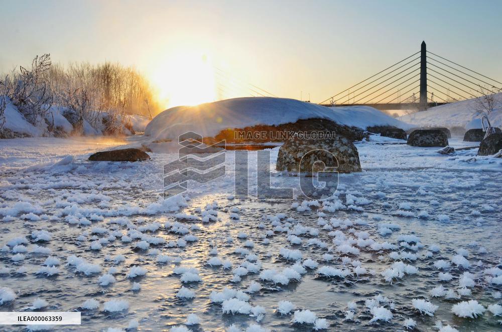 Frost flowers on icy river in Hokkaido