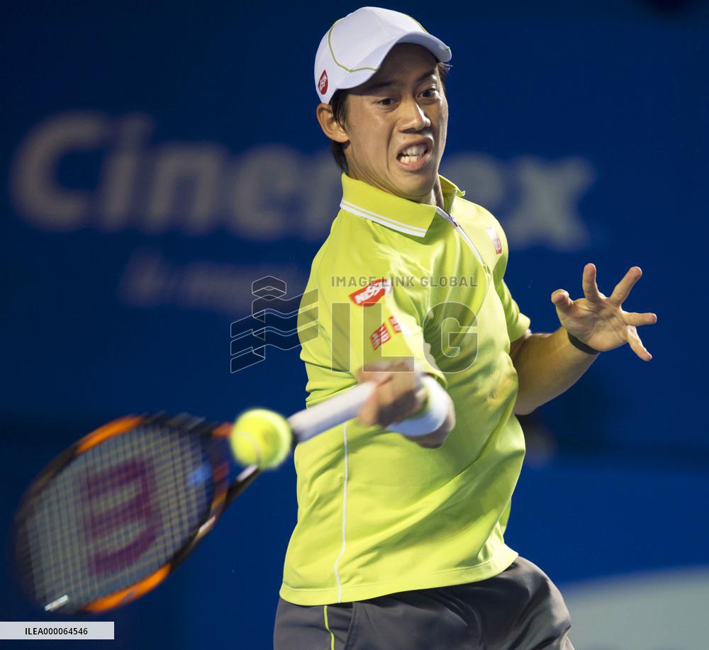 Nishikori falls to Ferrer in final of Mexico Open