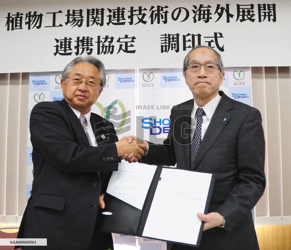 Yamaguchi Univ., Showa Denko partner for veg factory tech exports