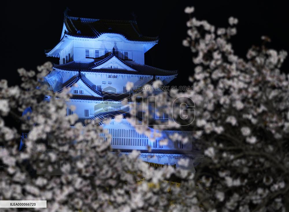 World Autism Awareness Day observed in Japan