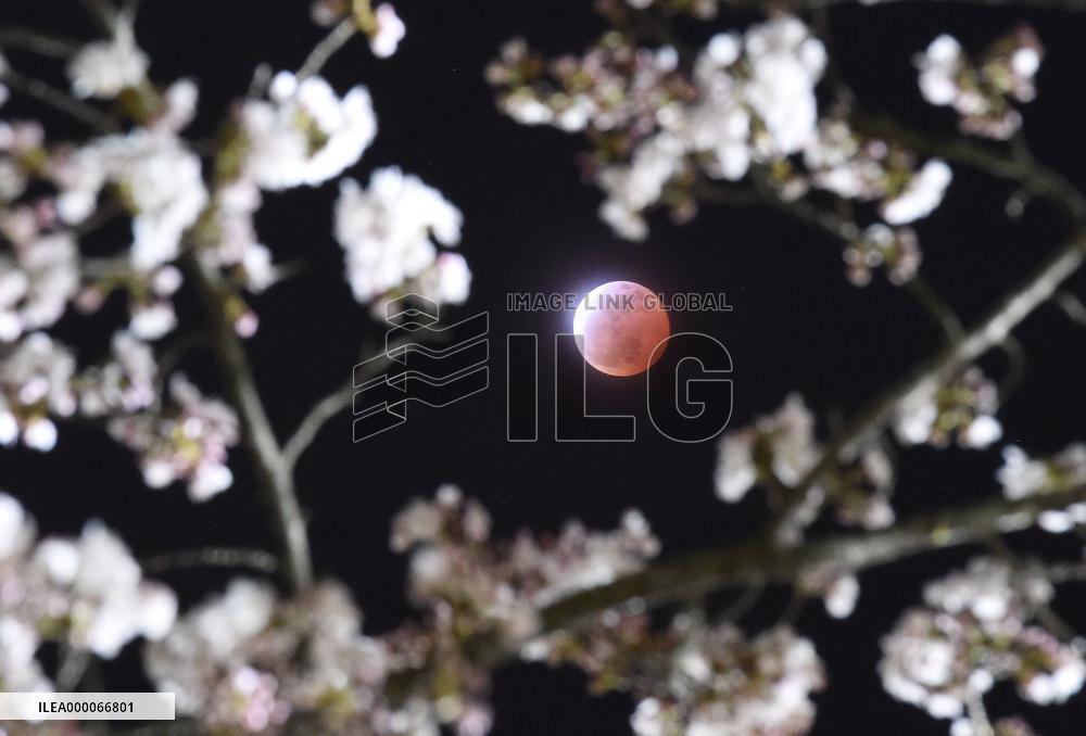 Red full moon observed in Miyagi Pref.