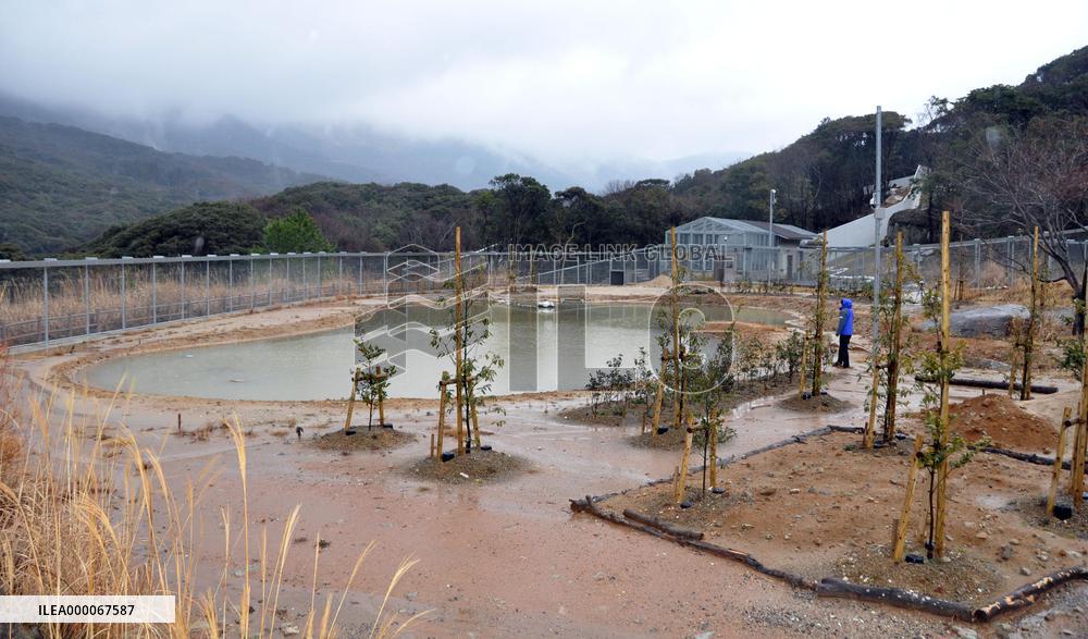Rehabilitation facility for Tsushima leopard cats for release
