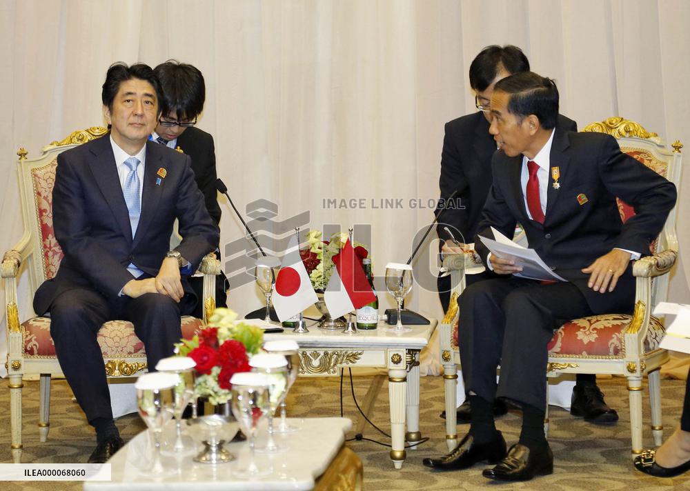 Japan, Indonesia leaders agree to cooperate on Africa's development