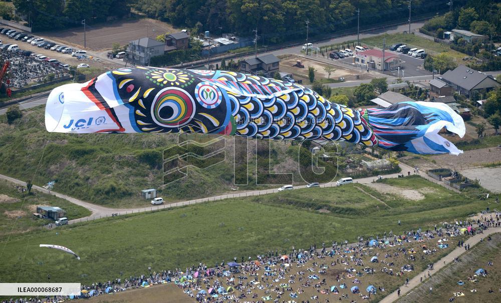 Jumbo carp streamer flies over Tone River