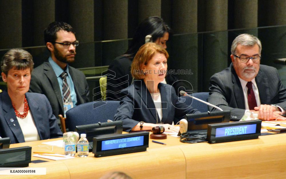 Plenary session of NPT review conference