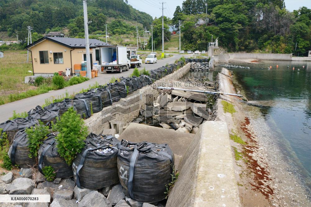 Dike unrepaired in Miyagi town amid land sinking after 2011 disaster